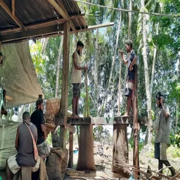 Makira Youths Improves Livelihood through Copra And Farming Initiatives