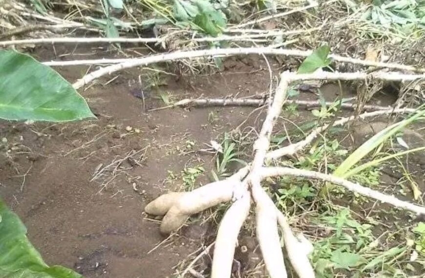 Communities Called For Immediate Relief Support
