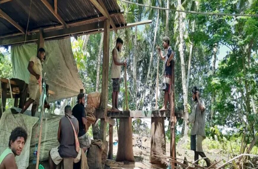 Makira Youths Improves Livelihood through Copra And Farming Initiatives