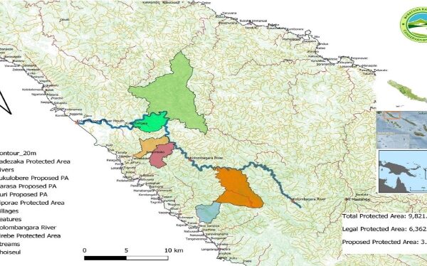 Babatana Rainforest Conservation into Carbon Trading