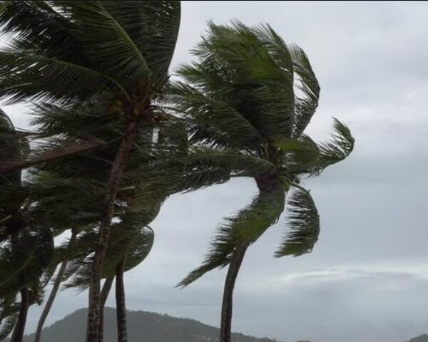 Heavy Rain and Strong Wind Warnings for the Country