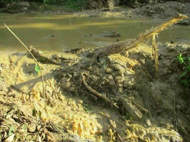 997f248c-5979-449b-965e-bf48fcbca359