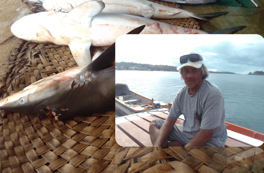 Gizo Resident Earns Living from Shark Fishing