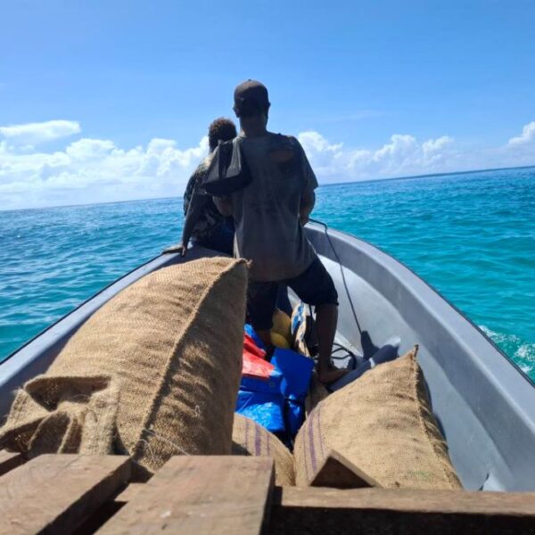 New Fund Lifts Copra Trade Spirits on Ugi Island