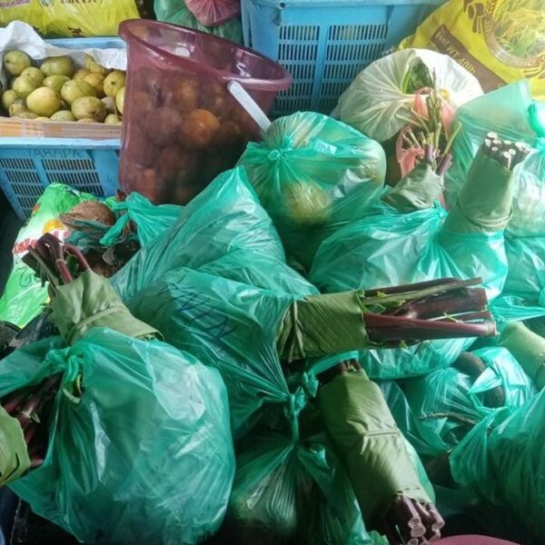 Northwest Guadalcanal Farmers Looking to Boost Local Farming Activities