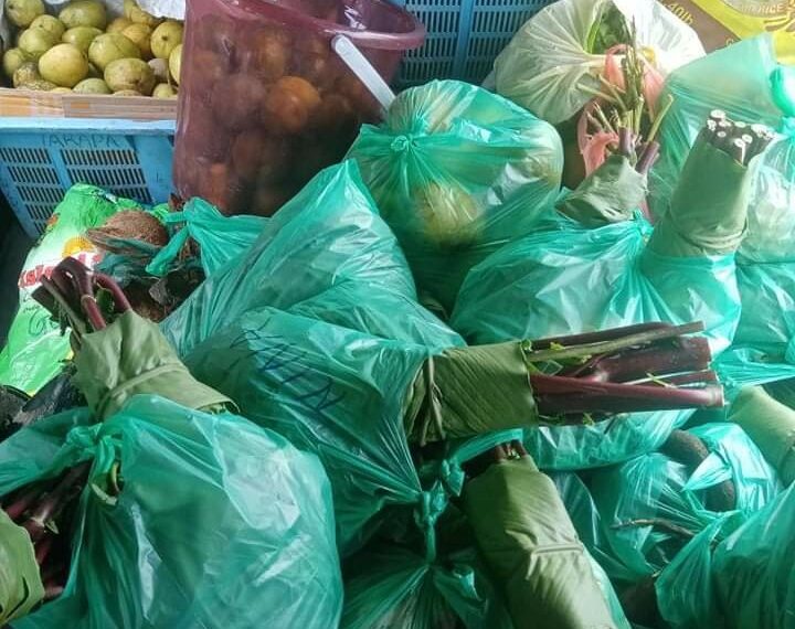 Northwest Guadalcanal Farmers Looking to Boost Local Farming Activities
