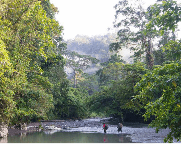 Makira Communities Forced To Consider Conserving Their Resources Because Of Increased Logging Activities