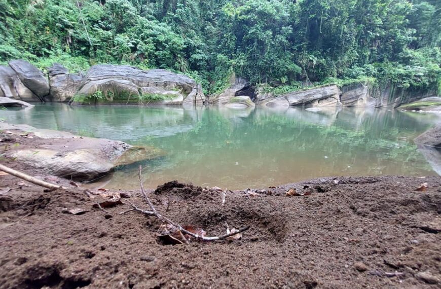 GPG Logging Field Monitoring
