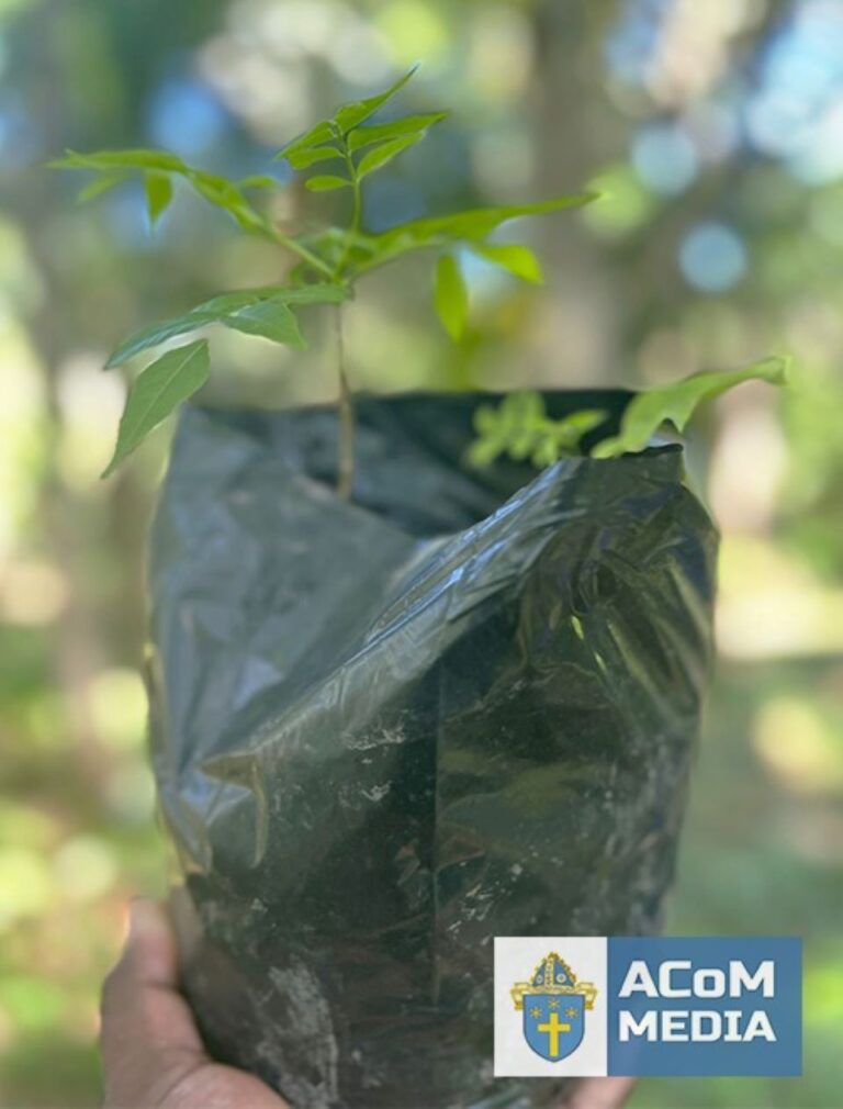 571998706_1275428014628820_2161034654684006915_n