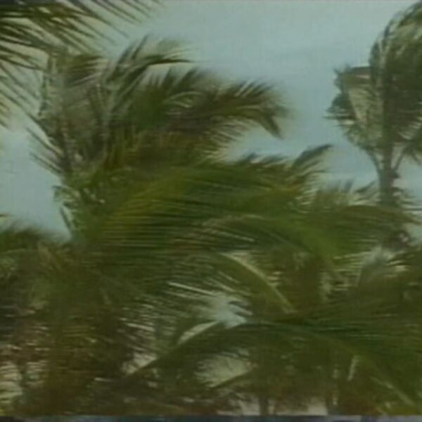 Heavy Rain What To Do Information