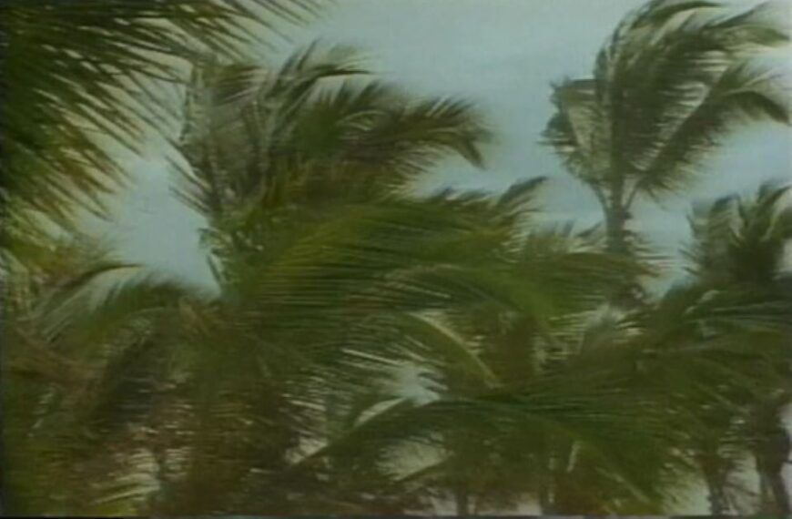 Cyclone Season: One to Three Cyclones Predicted to Cross Solomon Waters