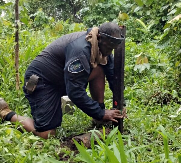 RSIPF Conducts Bomb Disposal Operations in Choiseul