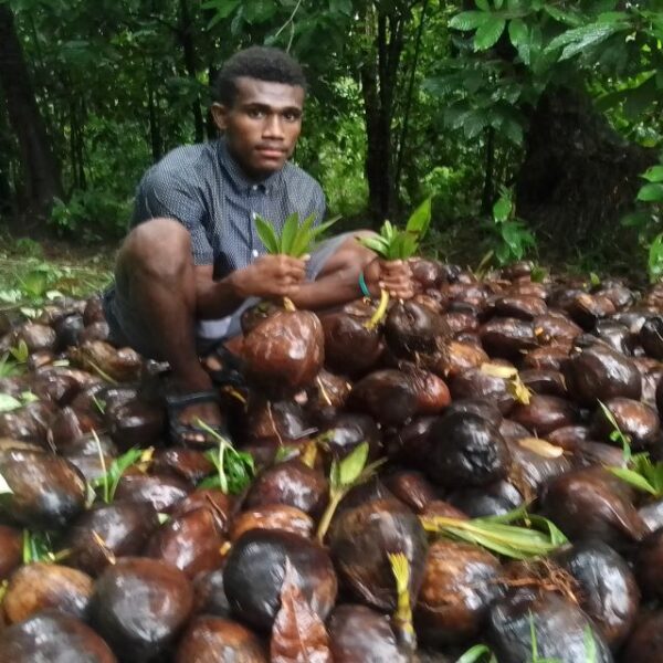 Guadalcanal Teenager and Family Investing in Cocoa and Coconut Plantation