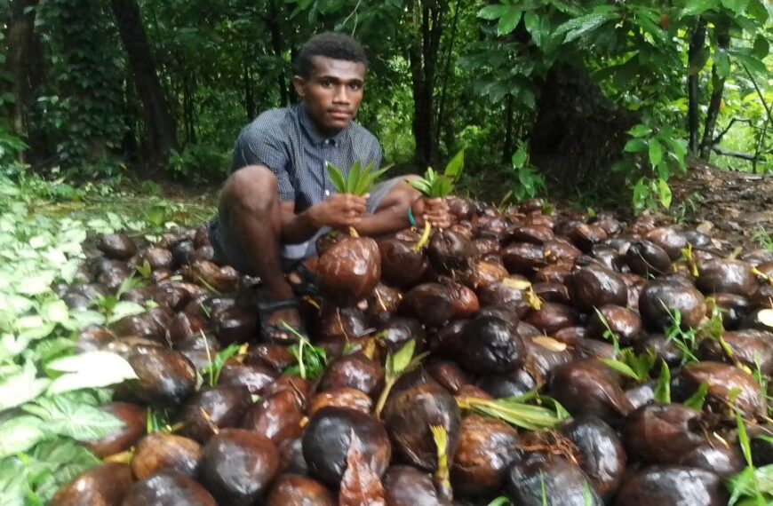 Guadalcanal Teenager and Family Investing in Cocoa and Coconut Plantation