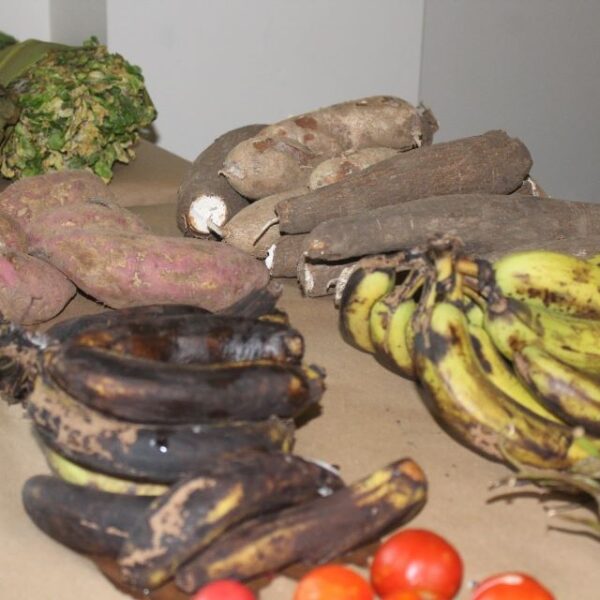 Locals Trained to Address Food Waste and System