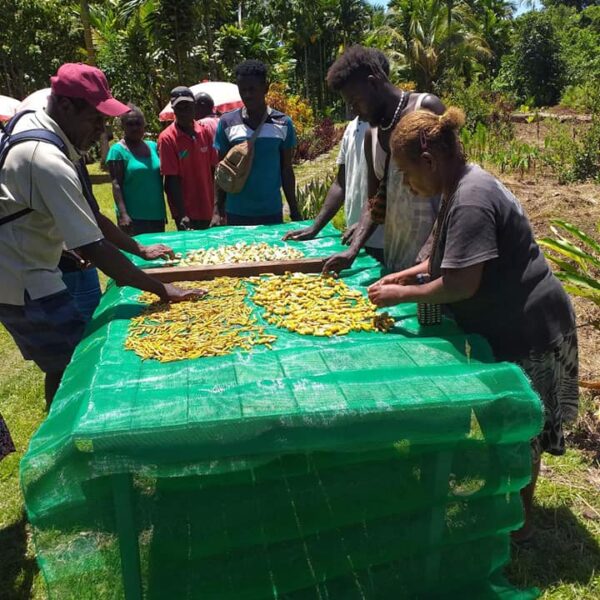 Farmers in Vella Successfully Complete Training on Kava, Piggery and Poultry