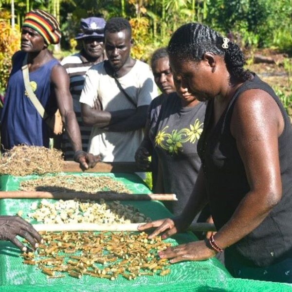 Western Province Receives Piggery and Kava Farmer Training