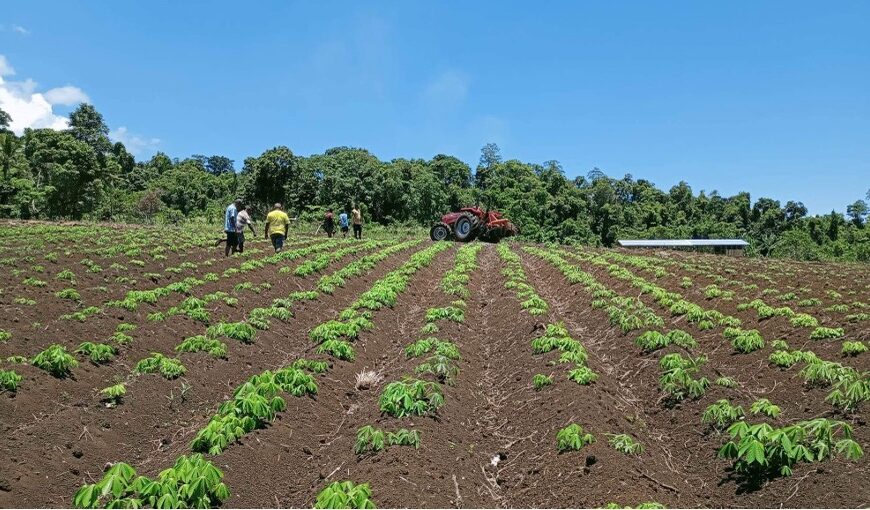 Enhance Integrated Framework Helps Solomon Islands Meet Export Standards