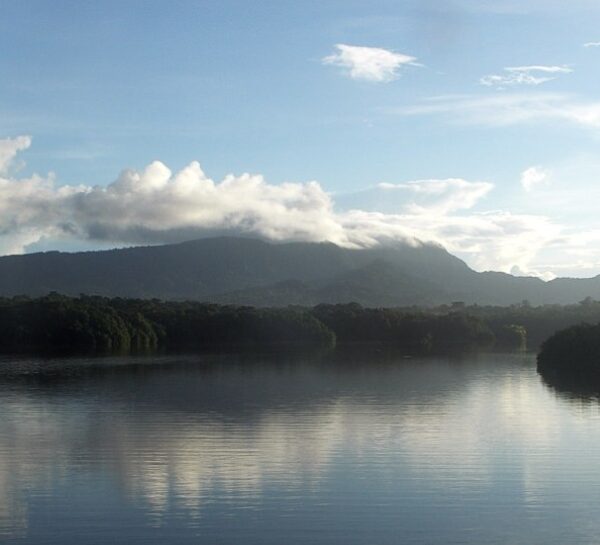 Viru Harbour to Benefit from U.S. Grant Project