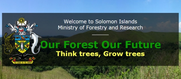 Forestry Clarifies Minister’s Action