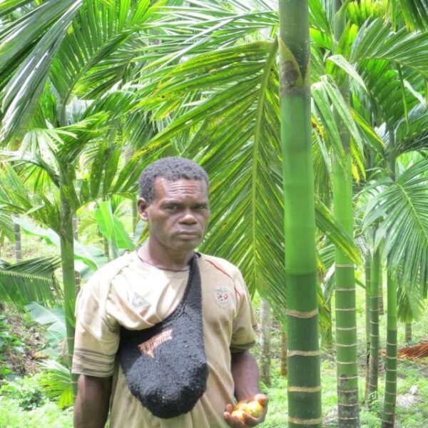 Passionate Farmer Makes Profit from Betel Farming