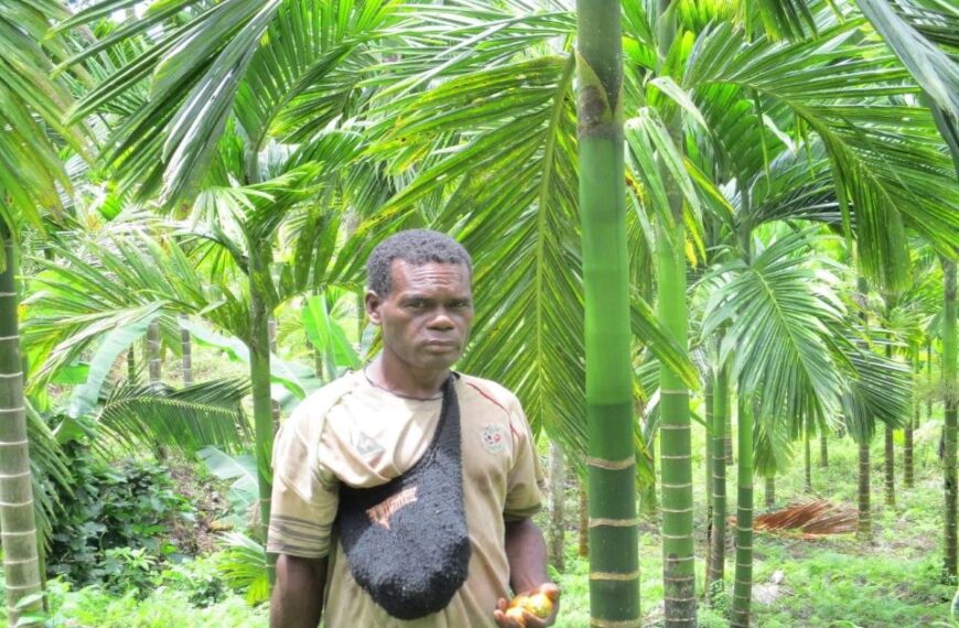 Passionate Farmer Makes Profit from Betel Farming