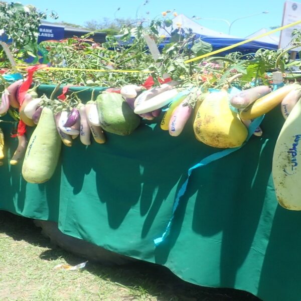 World Food Day Celebration Ends Successfully