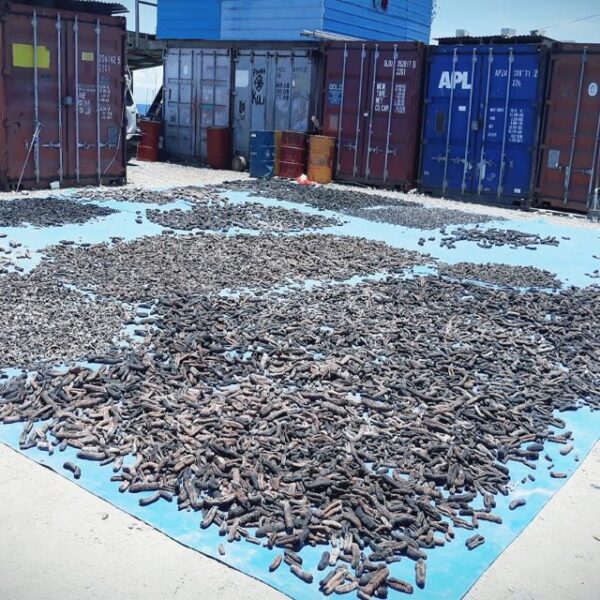 2021/2022 Bechedemer Minimum Benchmark Local Buying Price