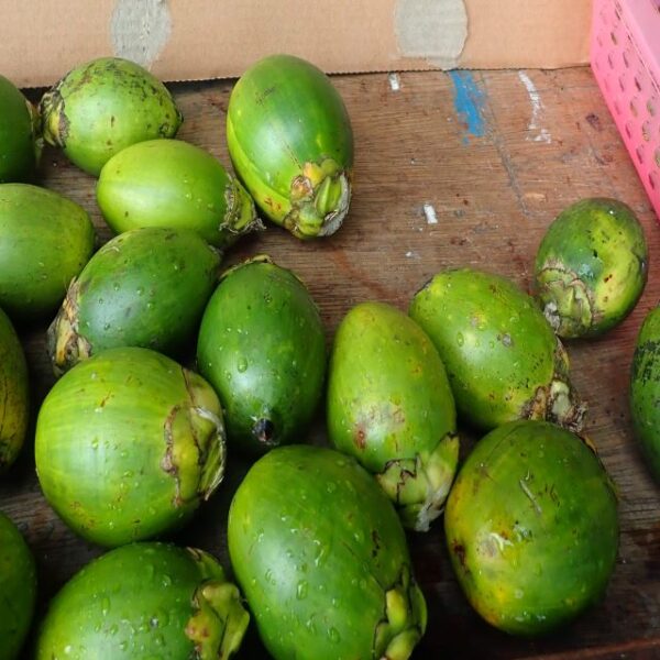 Premier Sade Demands Ban of Betel Nut Trading on Guadalcanal