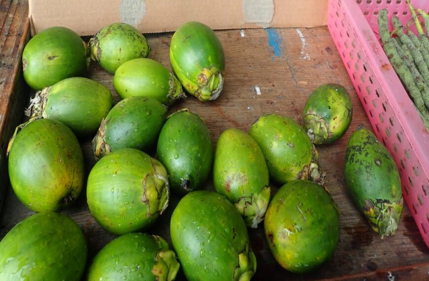 Premier Sade Demands Ban of Betel Nut Trading on Guadalcanal