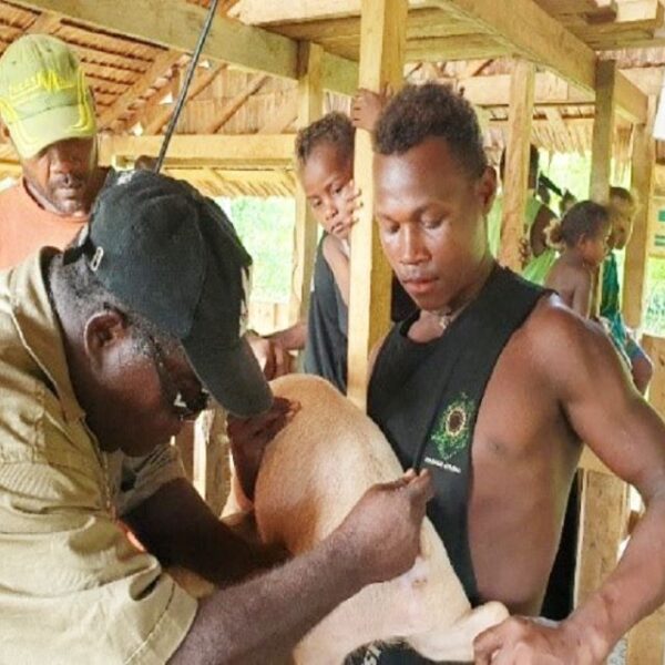 Falake Community Pig Farmer’s Capacity Enhanced