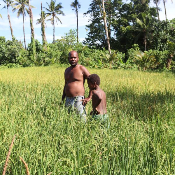 Primary School Teacher Found Purpose in Rice Farming