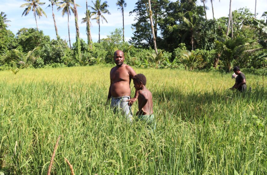 Primary School Teacher Found Purpose in Rice Farming