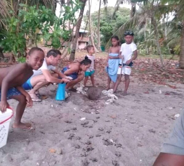 Beach Owner Help Hatched 300 Turtles Eggs