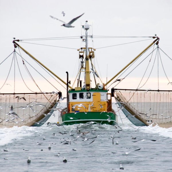 Regional Cooperation Needed to Reduce IUU
