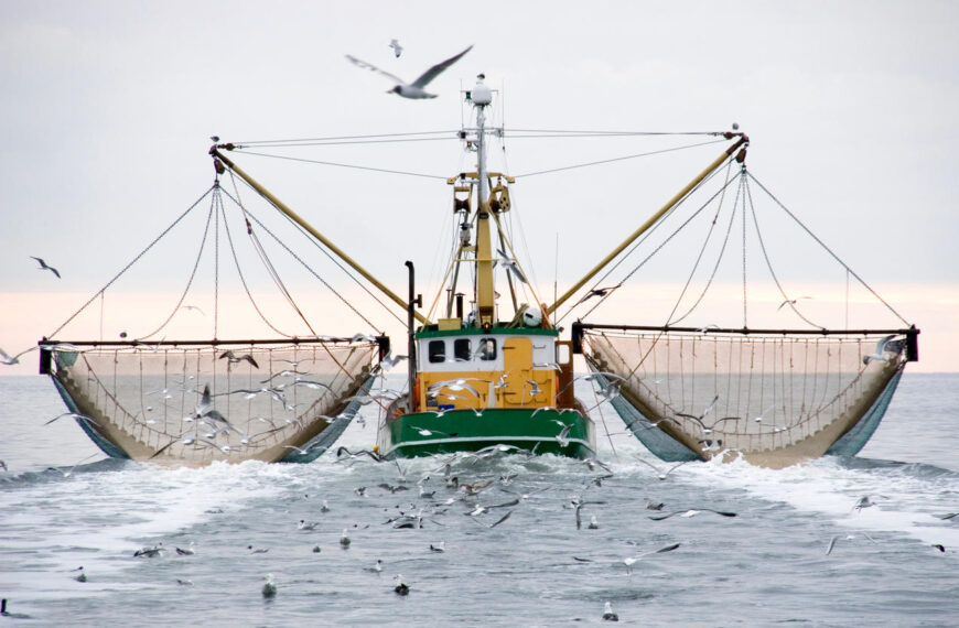 Regional Cooperation Needed to Reduce IUU
