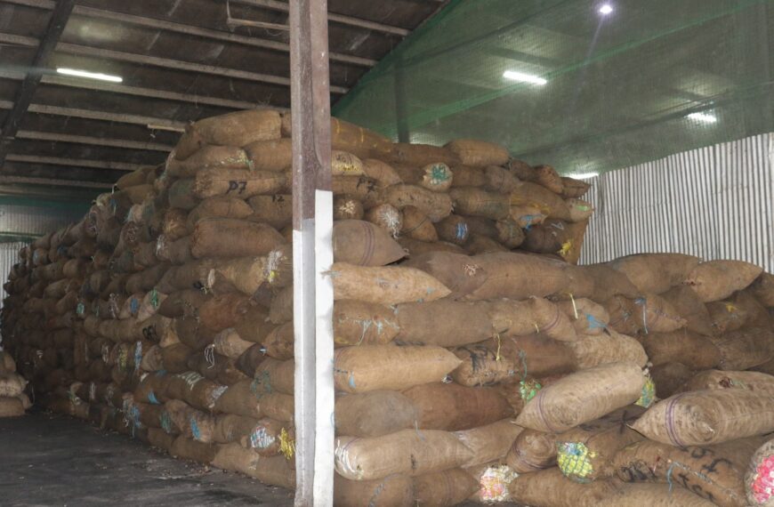 Backloading of Copra to Honiara Given a Go Ahead