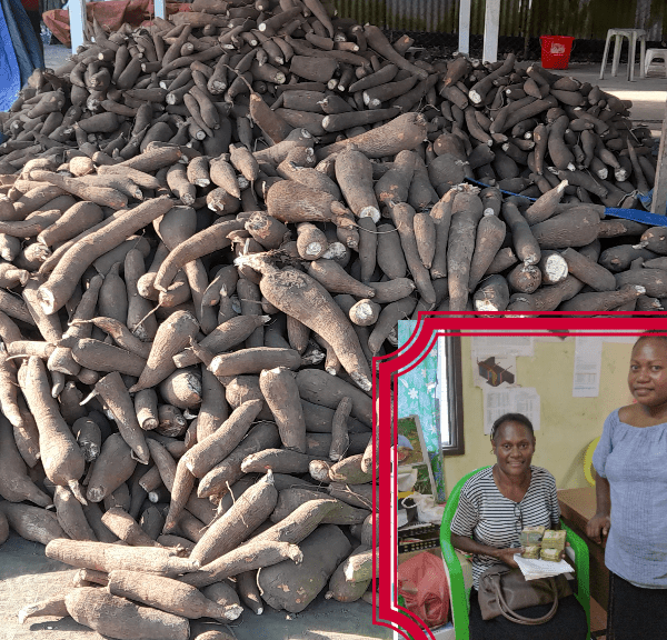 Varivao Exports Yellow Cassava , Couple Gets 38K