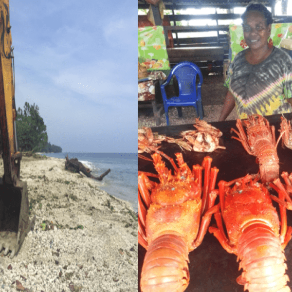Guadalcanal Vendor Calls for Protection of Marine Species from Commercial Logging