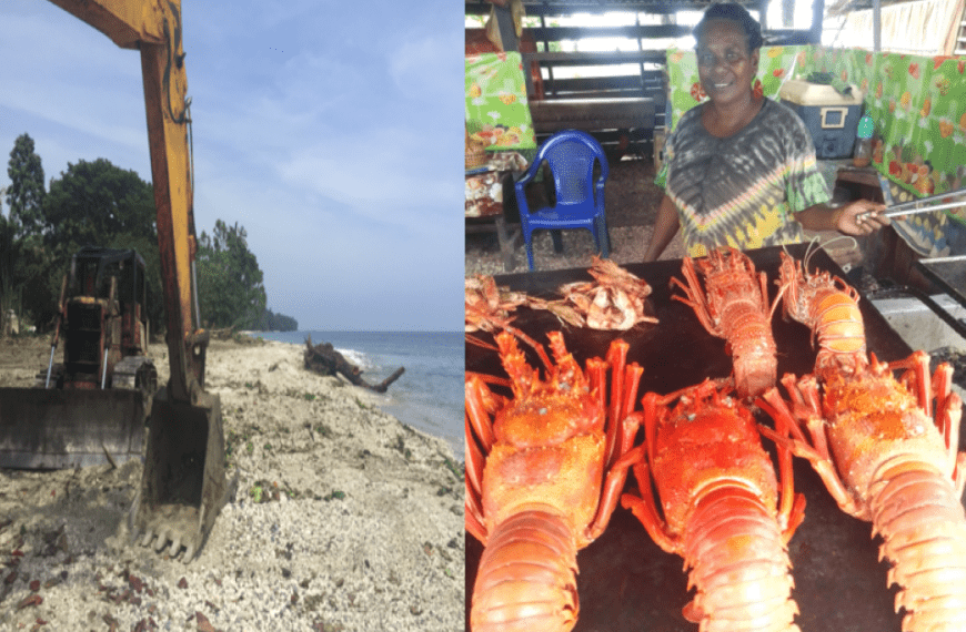 Guadalcanal Vendor Calls for Protection of Marine Species from Commercial Logging