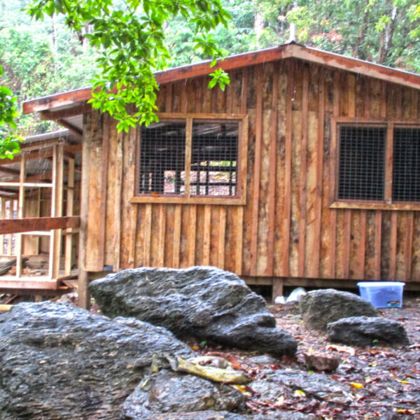 BARA Community To Benefit From CDF Funded Poultry Project