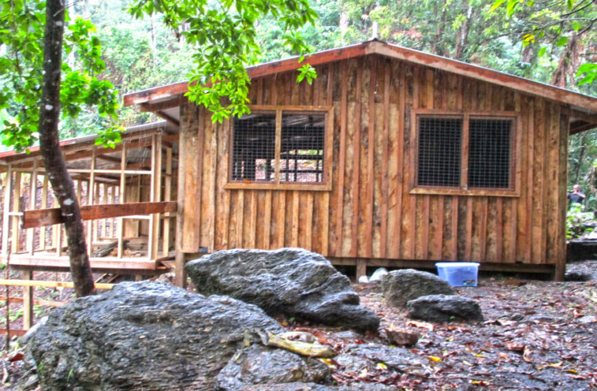 BARA Community To Benefit From CDF Funded Poultry Project