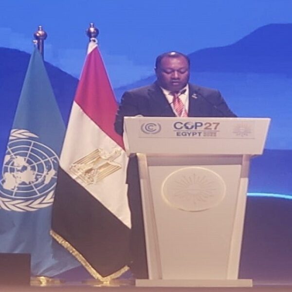 Hon. Mua Urged Developed Countries to Deliver 100 Billion