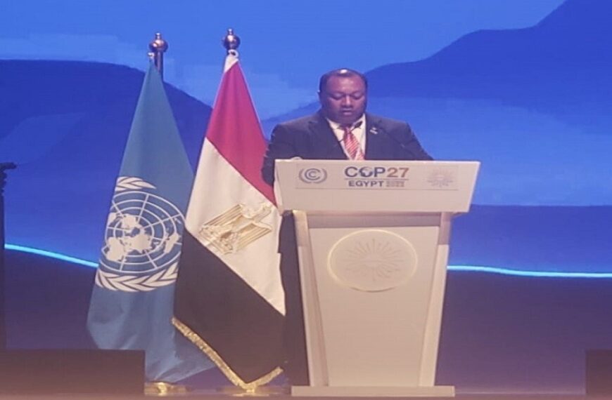 Hon. Mua Urged Developed Countries to Deliver 100 Billion