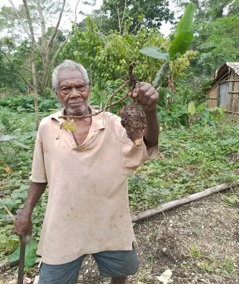 Disaster Office Completes Disaster Assessment on Ulawa Island