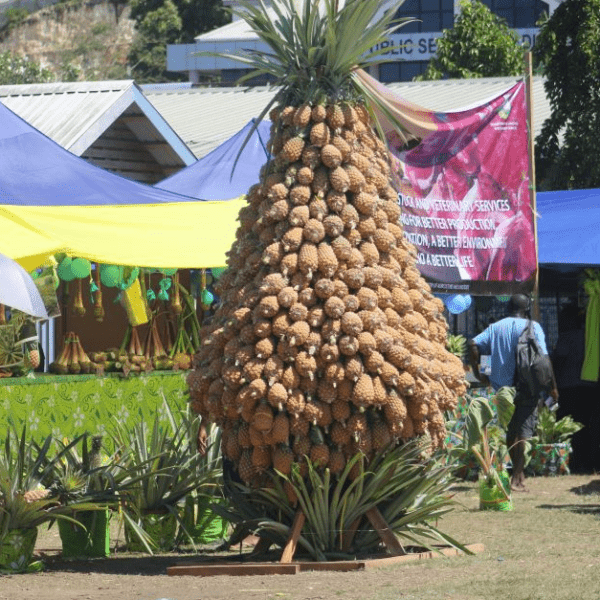 Guadalcanal to Supply Pineapples for 2023 Pacific Games