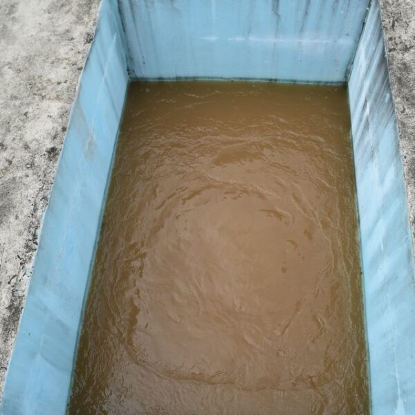 Kombito Source Closed Until Further Notice