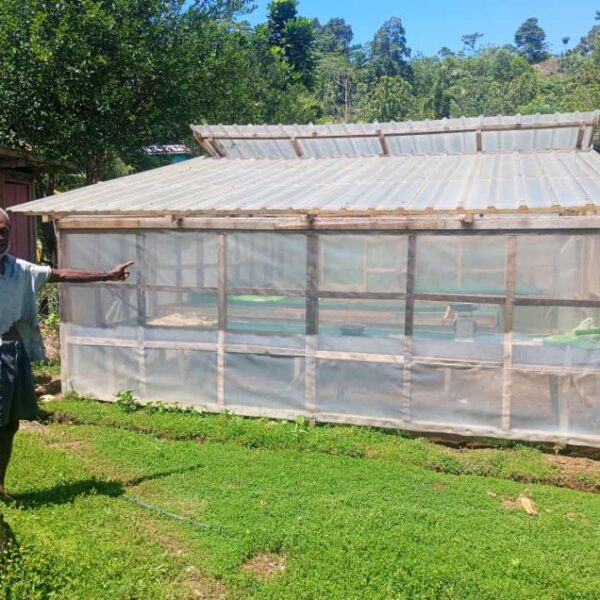 Geza Community Transformed by Cocoa Livelihood Project: Tiva