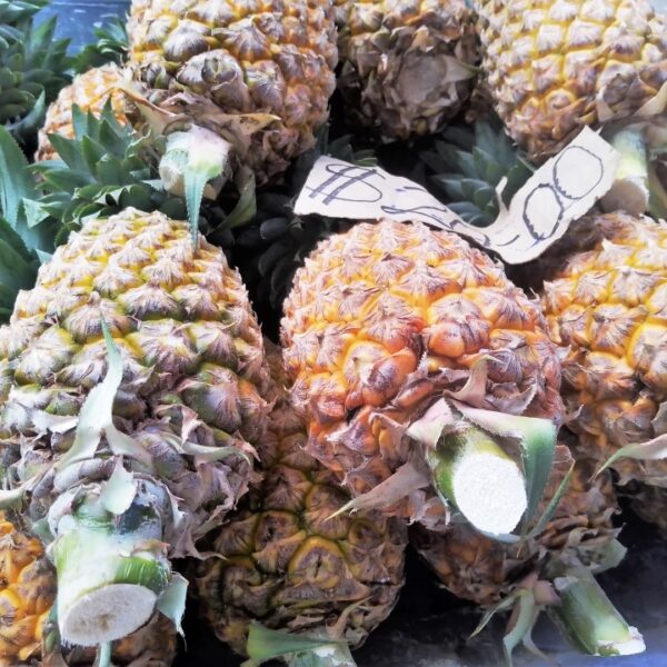 Qwaina Calls for the Commercialization of Pineapple Production