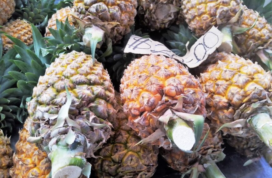 Qwaina Calls for the Commercialization of Pineapple Production